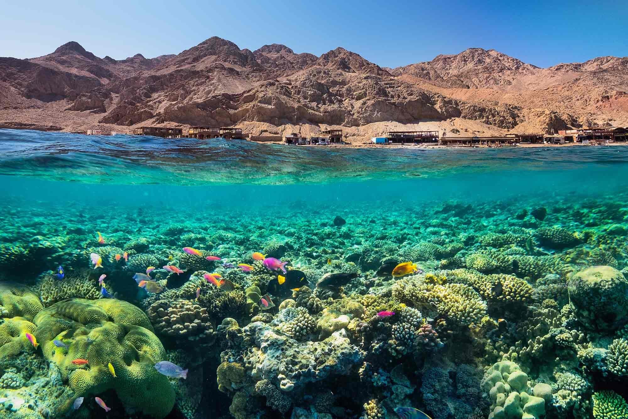 Egyptian Coast