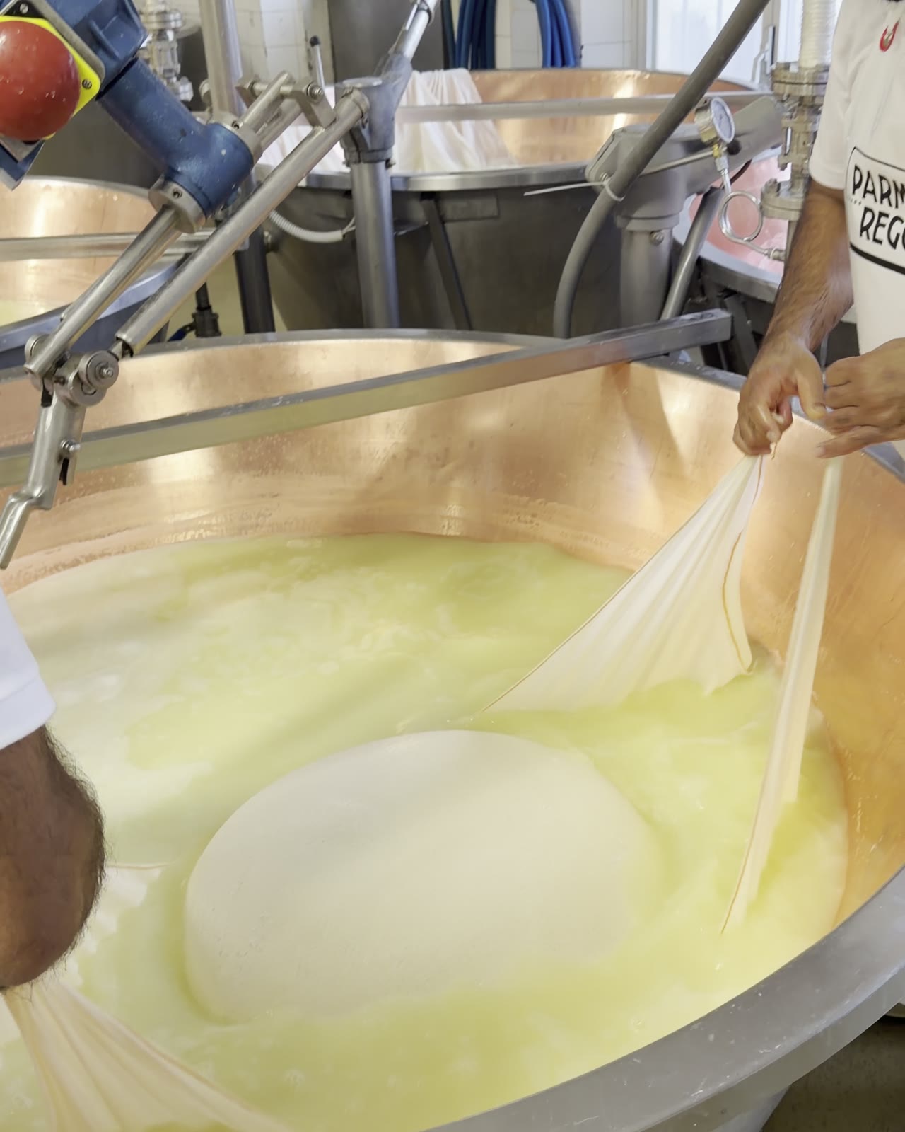 An artisan Parmigiano Reggiano dairy near Parma